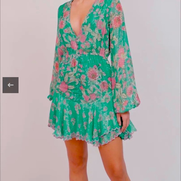 HEMANT & NANDITA Dresses & Skirts - Hemant and Nandita Dress